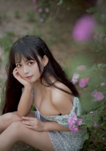 逐梦蓝天_全集在线观看