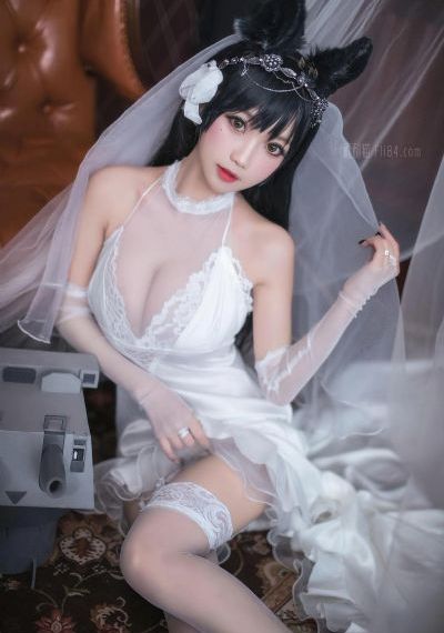 在线观看最新电影电视剧免费_BD免费全集观看