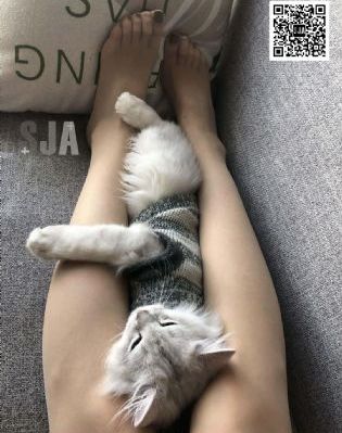 楚乔传第二部119集_720动漫在线观看