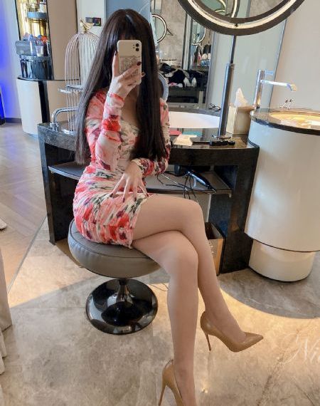 电视剧我的团长我的团_超清全集免费观看